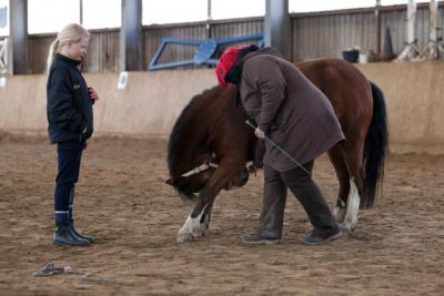 Foto des Albums: Zirkuslektionen mit Sady (Sylvia Czarnecki) 30.03 und 31.03.201