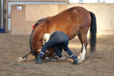Foto des Albums: Zirkuslektionen mit Sady (Sylvia Czarnecki) 30.03 und 31.03.201