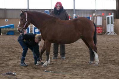 Foto des Albums: Zirkuslektionen mit Sady (Sylvia Czarnecki) 30.03 und 31.03.201