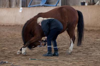 Foto des Albums: Zirkuslektionen mit Sady (Sylvia Czarnecki) 30.03 und 31.03.201