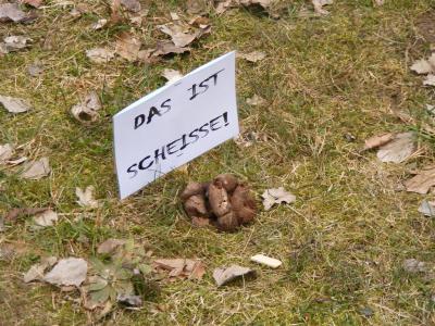Foto des Albums: Räum- und Bauaktion Fläche "Blauer Hecht"
