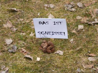 Foto des Albums: Räum- und Bauaktion Fläche "Blauer Hecht"
