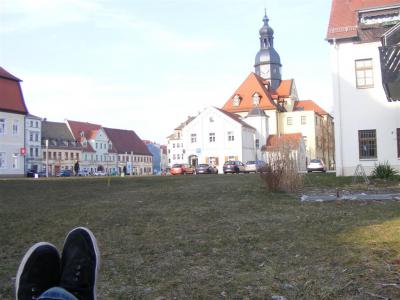 Foto des Albums: Räum- und Bauaktion Fläche "Blauer Hecht"
