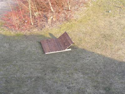 Foto des Albums: Räum- und Bauaktion Fläche "Blauer Hecht"