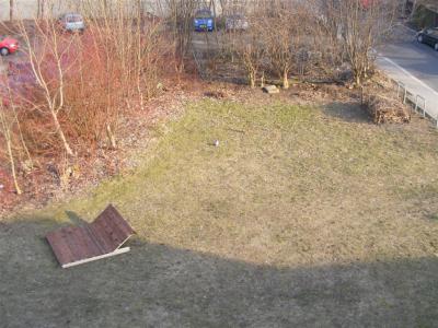Foto des Albums: Räum- und Bauaktion Fläche "Blauer Hecht"