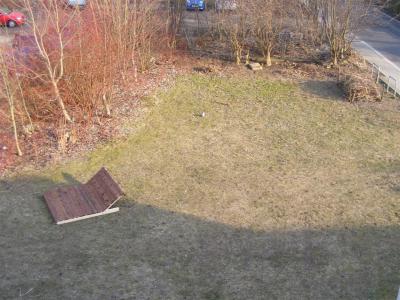 Foto des Albums: Räum- und Bauaktion Fläche "Blauer Hecht"