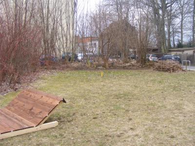 Foto des Albums: Räum- und Bauaktion Fläche "Blauer Hecht"