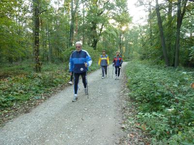 Foto des Albums: Fotos vom Nordic Walking