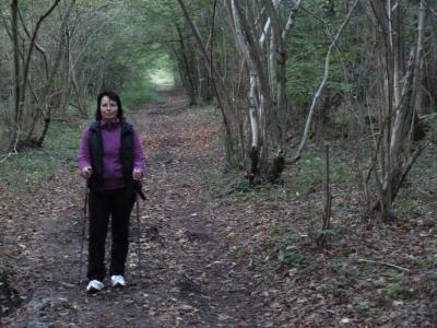 Foto des Albums: Fotos vom Nordic Walking