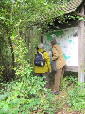 Foto des Albums: Fotos vom Wandern