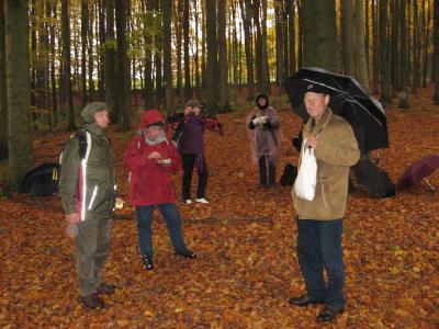 Foto des Albums: Fotos vom Wandern