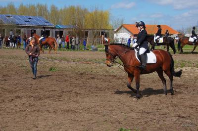 Foto des Albums: Hausturnier am 28.04.2013