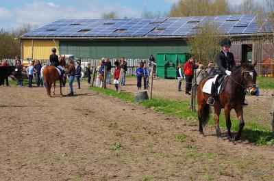 Foto des Albums: Hausturnier am 28.04.2013