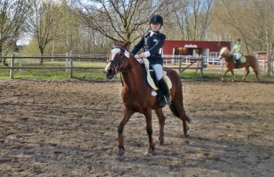 Foto des Albums: Hausturnier am 28.04.2013