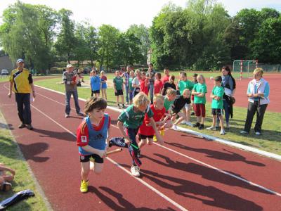 Foto des Albums: Leichtathletik-Einzelmeisterschaft in Wittstock am 16.05.2013