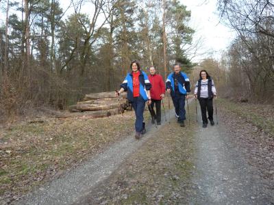 Foto des Albums: Nordic Walking 2013