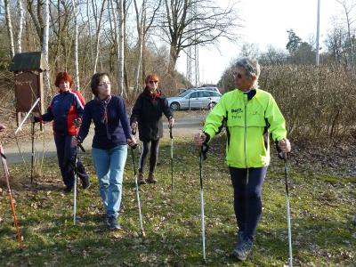 Foto des Albums: Nordic Walking 2013