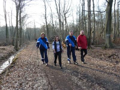 Foto des Albums: Nordic Walking 2013