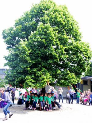 Foto des Albums: Einweihung Rundbank