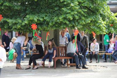 Foto des Albums: Buntes Treiben