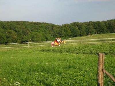 Foto des Albums: Fußball WM