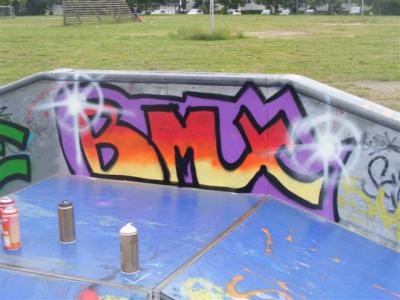 Foto des Albums: Skate ´n´ Music 2013 und Farbenlehre