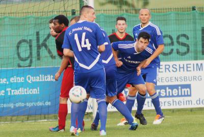 Foto des Albums: BD|Sensors-Cup 2013 (3)
