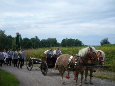 Festumzug 2009 