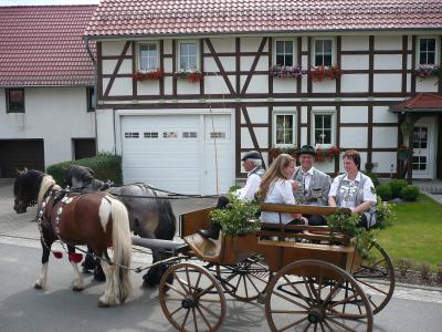 Festumzug 2009 