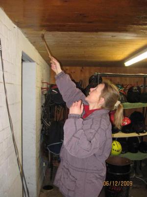 Foto des Albums: Großer Arbeitseinsatz 2009