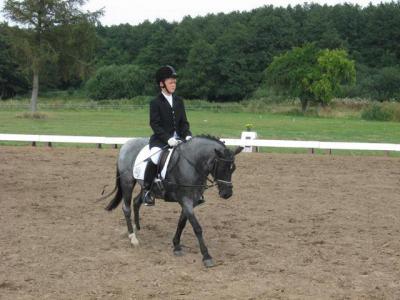Foto des Albums: OstseeReitTurnier 2009