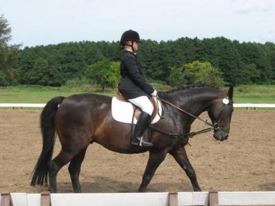 Foto des Albums: OstseeReitTurnier 2009