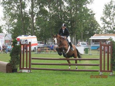 Foto des Albums: OstseeReitTurnier 2009