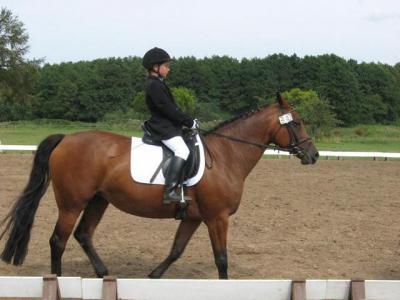 Foto des Albums: OstseeReitTurnier 2009