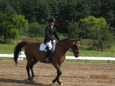 Foto des Albums: OstseeReitTurnier 2009