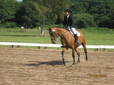 Foto des Albums: OstseeReitTurnier 2009