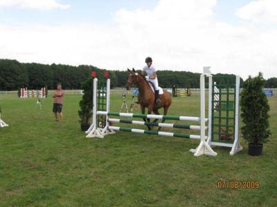 Foto des Albums: OstseeReitTurnier 2009