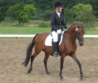 Foto des Albums: OstseeReitTurnier 2009