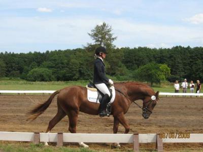 Foto des Albums: OstseeReitTurnier 2009