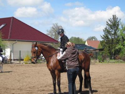 Foto des Albums: Reitertag in Schwaan 2010