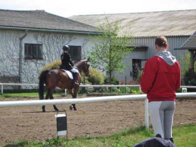 Foto des Albums: Reitertag in Schwaan 2010