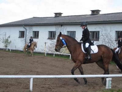 Foto des Albums: Reitertag in Schwaan 2010
