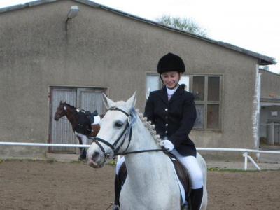 Foto des Albums: Reitertag in Schwaan 2010