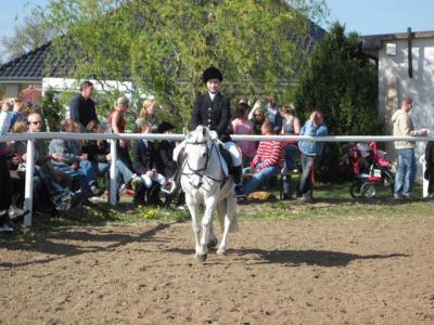 Foto des Albums: Reitertag in Schwaan 2010