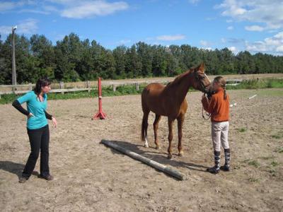Foto des Albums: Jungzüchterseminar