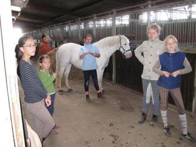 Foto des Albums: Jungzüchterseminar