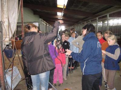 Foto des Albums: Jungzüchterseminar
