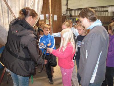 Foto des Albums: Jungzüchterseminar