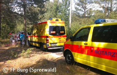 Foto des Albums: Einsatz Nr. 75/2013