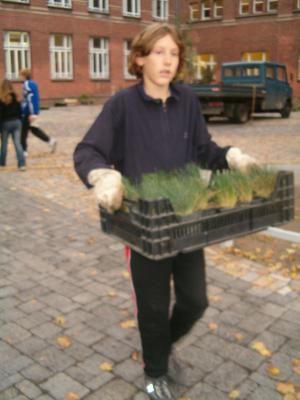 Foto des Albums: Bepflanzung Schulhof 2006 (01.01.2006)
